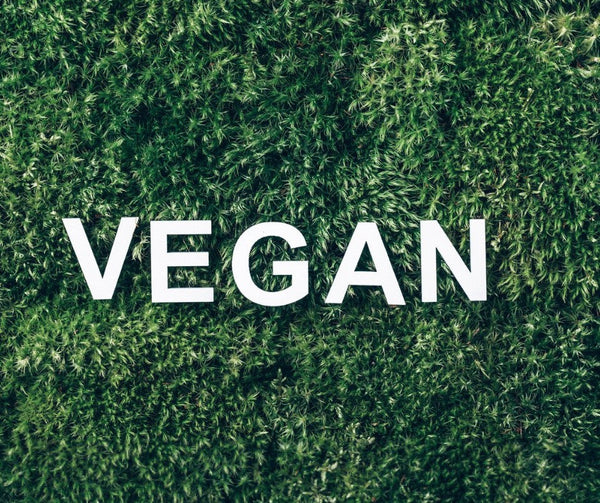Why Elan Skincare is a Vegan Brand You’ll Love?